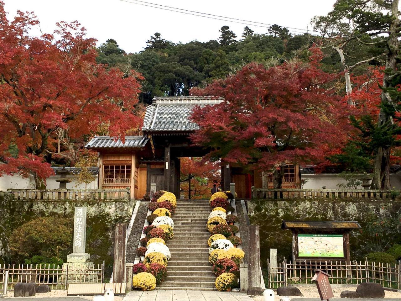 Torus 修善寺 Condominium 貸切宿 Izu  Dış mekan fotoğraf