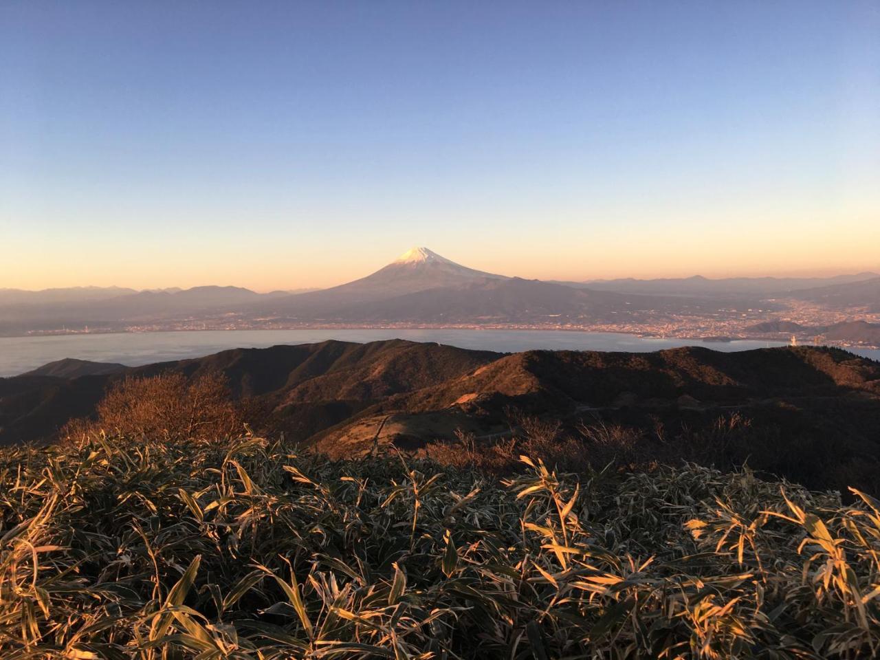 Torus 修善寺 Condominium 貸切宿 Izu  Dış mekan fotoğraf